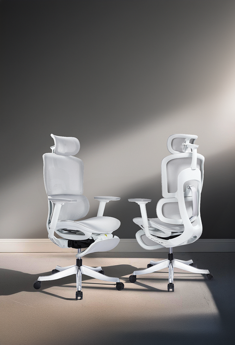 Mobile Ergonomic Office Chair
