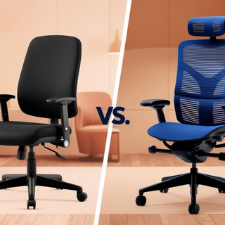 What Is the Difference Between an Ergonomic Chair and a Task Chair?