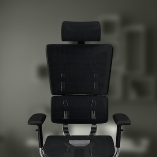 Myriad Benefits of Mesh Chairs