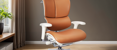 Ideal Sitting Habits for Healthy Living