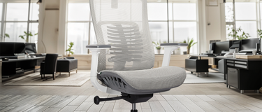 Myriad Benefits of Mesh Chairs