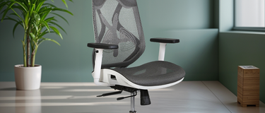 What is a Good Ergonomic Chair?