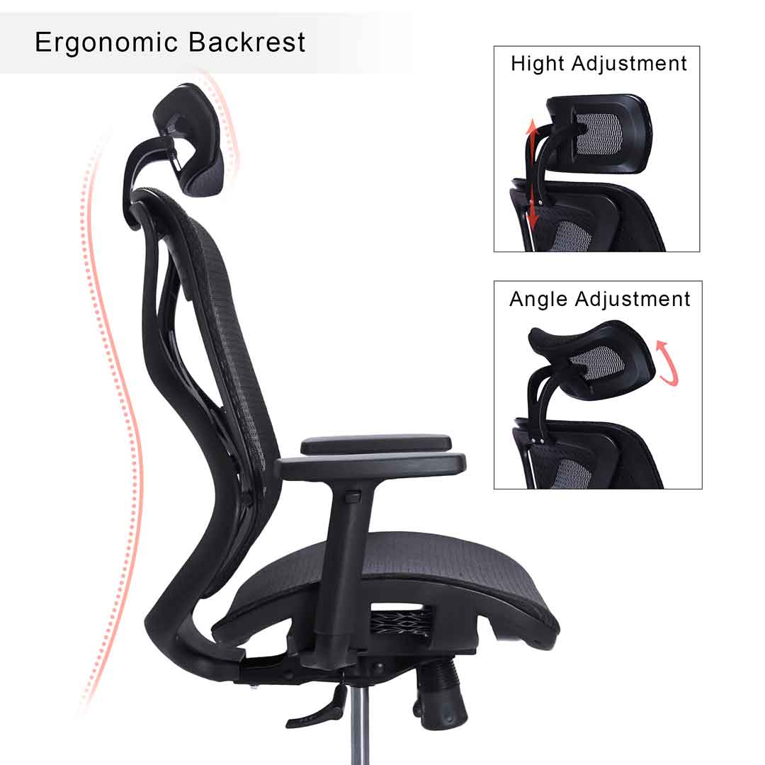 Xenon Black High Back Misuraa