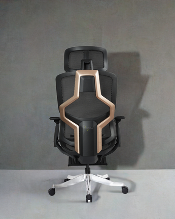 Seoul Imported Office & Home Chair (Black)